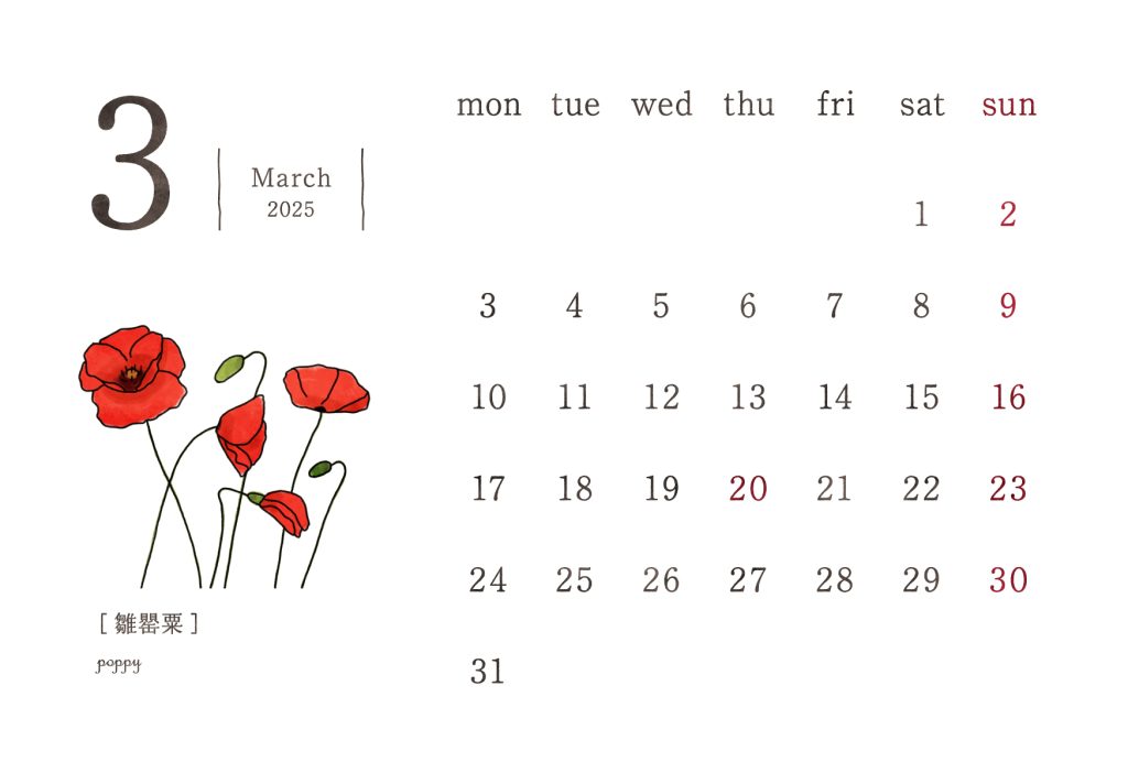 和の花カレンダー｜2025年3月｜雛罌粟（ポピー）