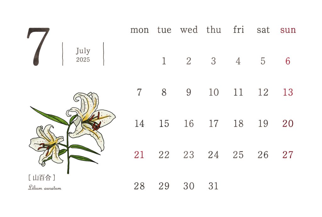 和の花カレンダー｜2025年7月｜山百合