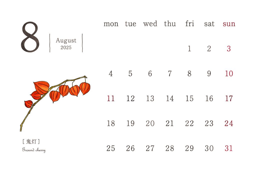 和の花カレンダー｜2025年8月｜鬼灯（ほおづき）