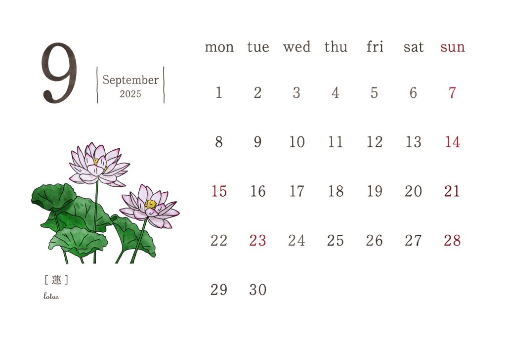 和の花カレンダー｜2025年9月｜蓮