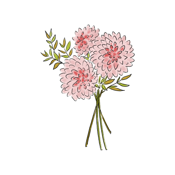 ダリアのイラスト