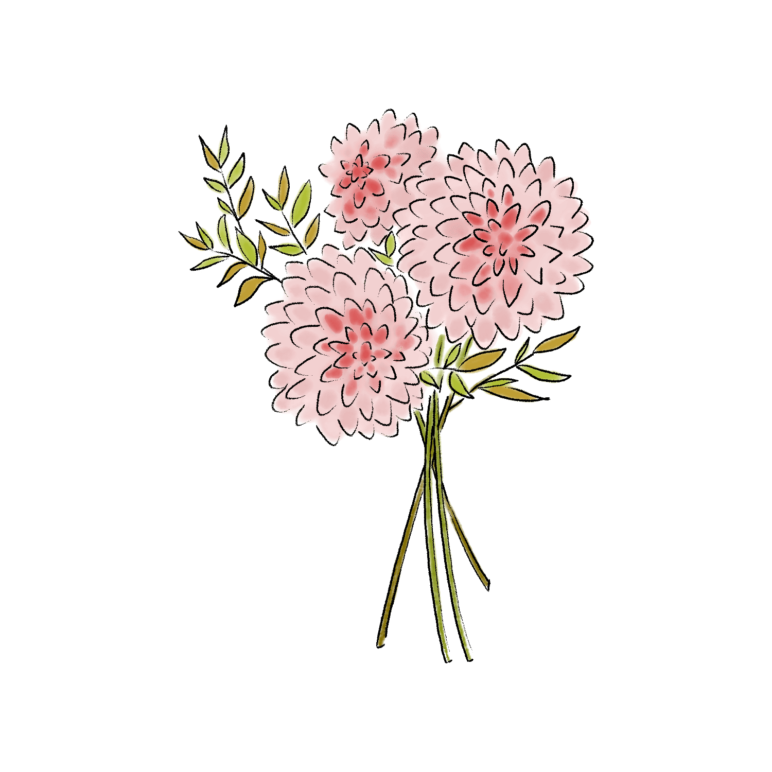 ダリアのイラスト
