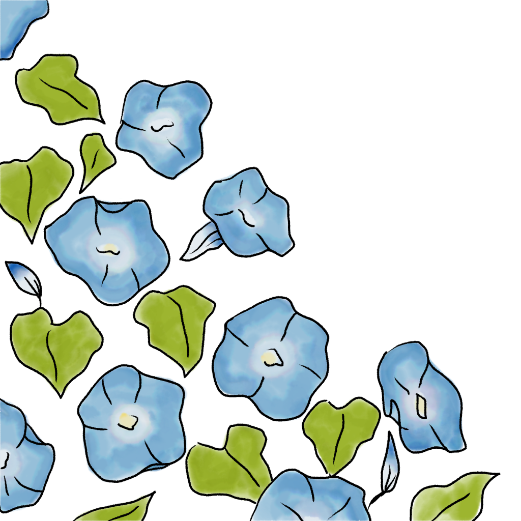 朝顔のイラスト