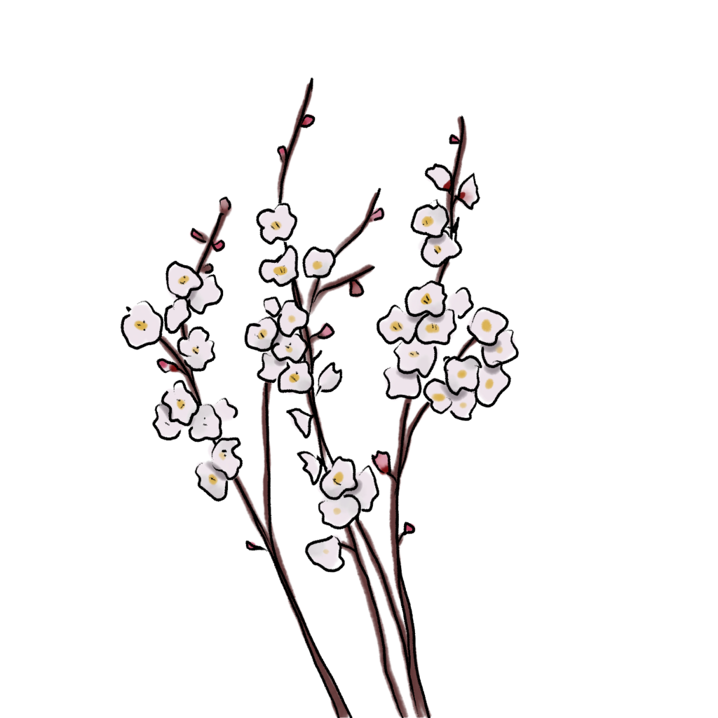 梅のイラスト