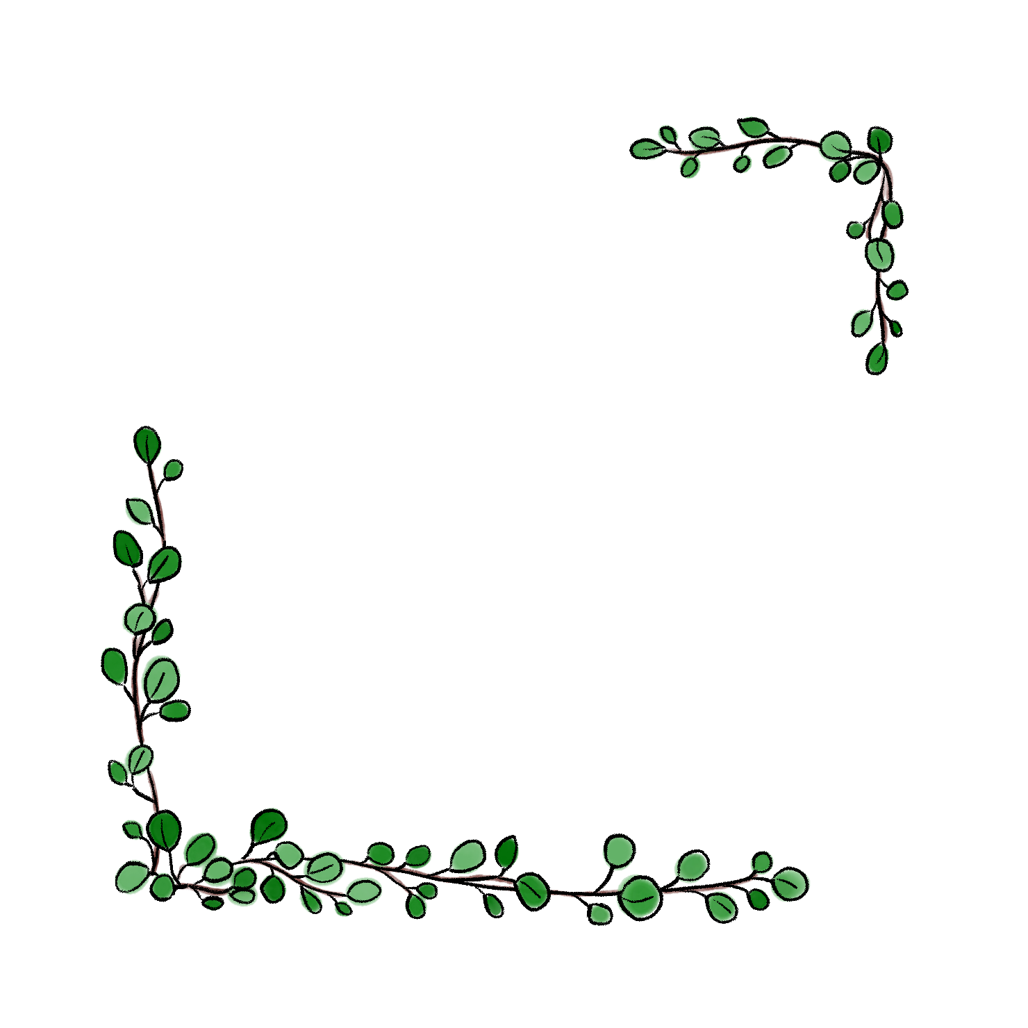 ワイヤープランツ｜フレーム｜03