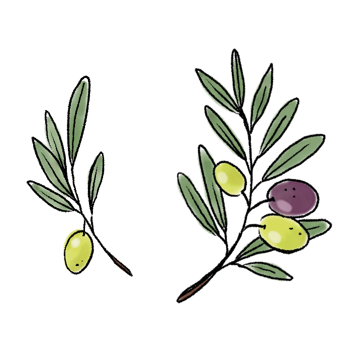 オリーブのイラスト